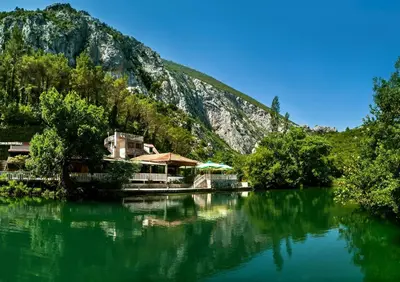 Priroda u blizini vila