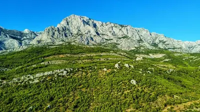 Priroda u blizini apartmana