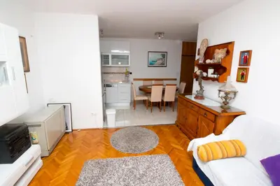 Kuhinja ili čajna kuhinja u objektu Apartman Seka