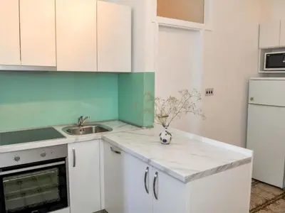Kuhinja ili čajna kuhinja u objektu Holiday Apartement Marija Supetar with private pool