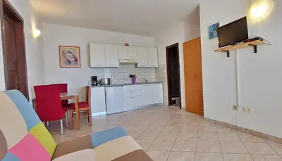 Kuhinja ili čajna kuhinja u objektu Apartments Đogo