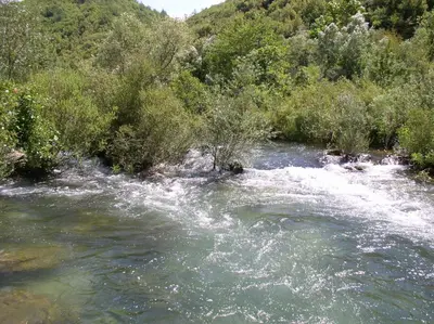 Priroda u blizini vila