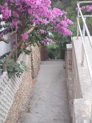 Tlocrt objekta Apartments Villa Stari Koko