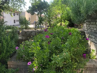 Vrt u objektu Apartments Stari Pavle
