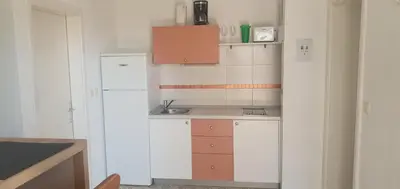 Kuhinja ili čajna kuhinja u objektu Apartments Stari Pavle