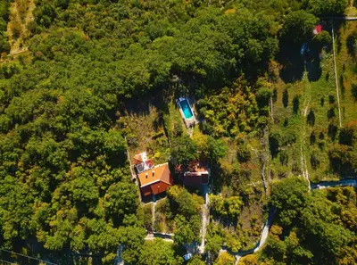 Priroda u blizini vila