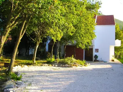 Vrt u objektu Isolated Villa Terna -Big Garden-Pool-Dalmatia