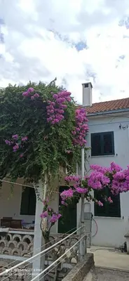 Vrt u objektu Apartman LiAm