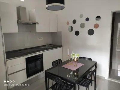 Kuhinja ili čajna kuhinja u objektu Apartman Zero