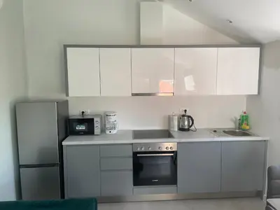 Kuhinja ili čajna kuhinja u objektu New Modern Deluxe Apartmens Domo