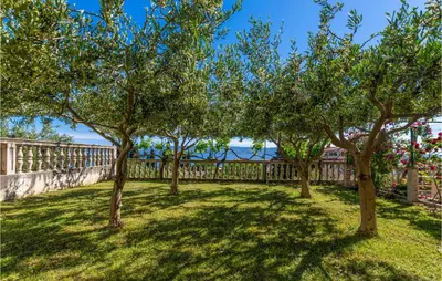 Priroda u blizini apartmana