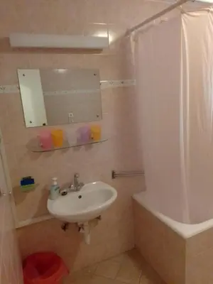 Kupaonica u objektu Apartman Tudor
