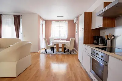 Kuhinja ili čajna kuhinja u objektu Apartman Aqua