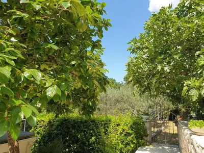 Vrt u objektu IDIS Holiday Home