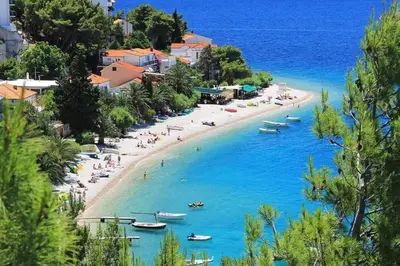 Priroda u blizini vila