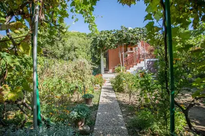 Vrt u objektu House with large garden right next to the river