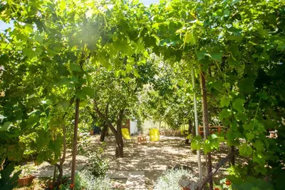 Vrt u objektu House with large garden right next to the river