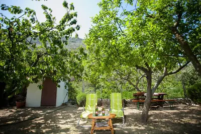 Vrt u objektu House with large garden right next to the river