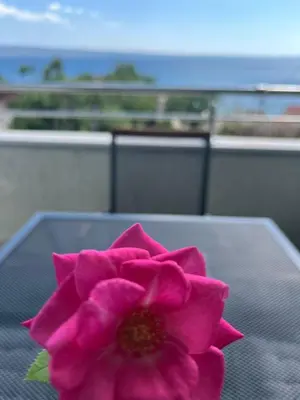 Balkon ili terasa u objektu Beautiful place near the sea