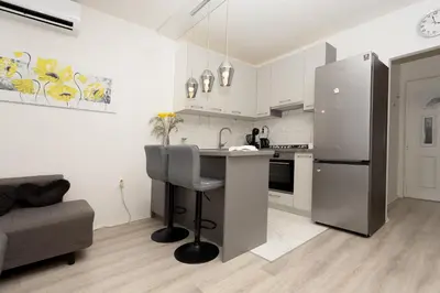 Kuhinja ili čajna kuhinja u objektu Apartman Nina