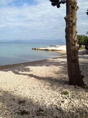 Priroda u blizini apartmana