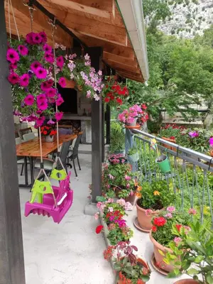 Vrt u objektu Apartment Bajama