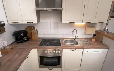 Kuhinja ili čajna kuhinja u objektu Luxury Apartment Flora, Stari Grad, Hvar Island