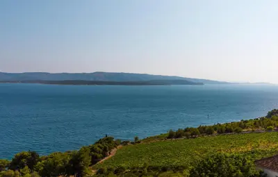 Priroda u blizini vila