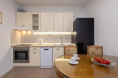 Kuhinja ili čajna kuhinja u objektu Apartments Paladin