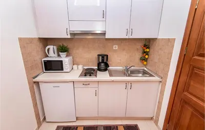 Kuhinja ili čajna kuhinja u objektu 1 Bedroom Amazing Apartment In Podstrana