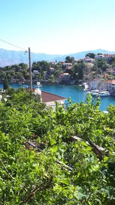 Priroda u blizini apartmana