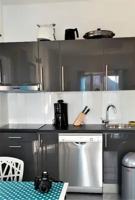 Kuhinja ili čajna kuhinja u objektu Villa Jagoda