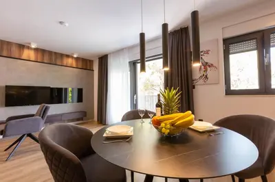 TV i/ili zabavni centar u objektu Villa Braga a7