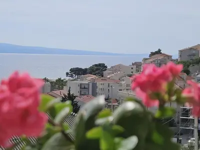 Priroda u blizini apartmana