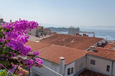 Priroda u blizini smještaja kod domaćina