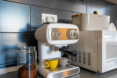Kuhinja ili čajna kuhinja u objektu Apartman Olive