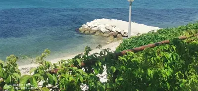 Priroda u blizini apartmana