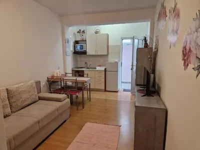 Kuhinja ili čajna kuhinja u objektu Apartments Dragan