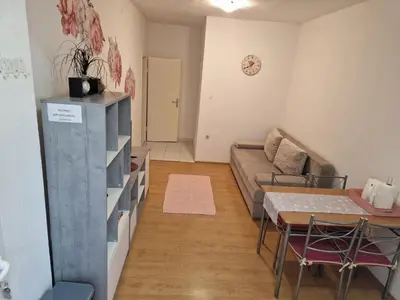Kuhinja ili čajna kuhinja u objektu Apartments Dragan