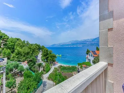 Priroda u blizini apartmana
