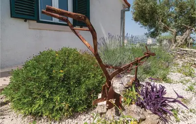 Vrt u objektu Holiday Home Uvala Lovrecina - Veli Brig V