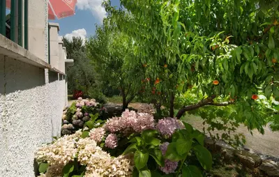 Vrt u objektu Holiday Home Podaspilje I