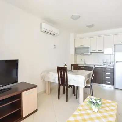 Apartment Zavode V