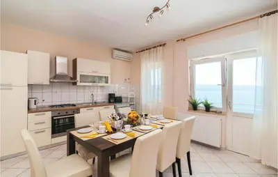 Kuhinja ili čajna kuhinja u objektu Apartment Put Borka Vi