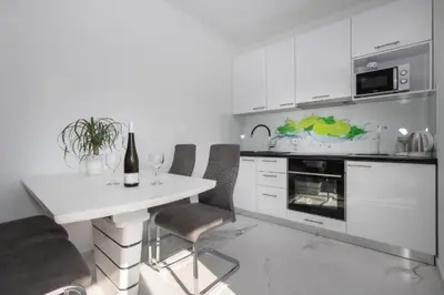 Kuhinja ili čajna kuhinja u objektu Apartments Dragan