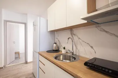 Kuhinja ili čajna kuhinja u objektu River Park Apartment
