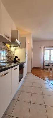 Kuhinja ili čajna kuhinja u objektu Apartment Turan