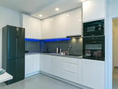 Kuhinja ili čajna kuhinja u objektu Apartment Papilio