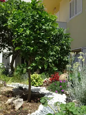 Vrt u objektu 4pax Apartment ON THE BEACH with garden, sea view, terrace & parking - Ap A1