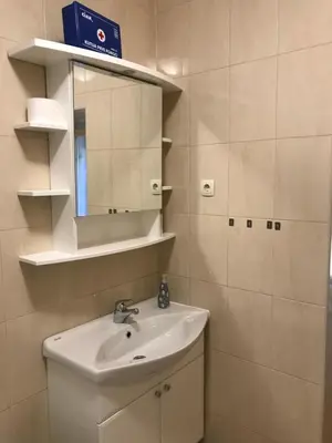 Kupaonica u objektu Studio Apartman LENESTA